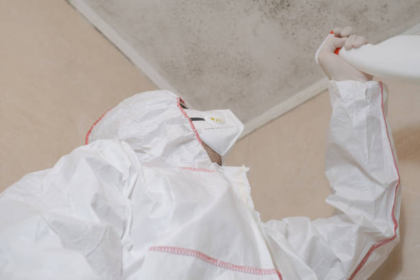 Forensic Mold Investigation in Caldwell, NJ